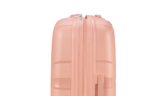 Erweiterungsfähigkeit