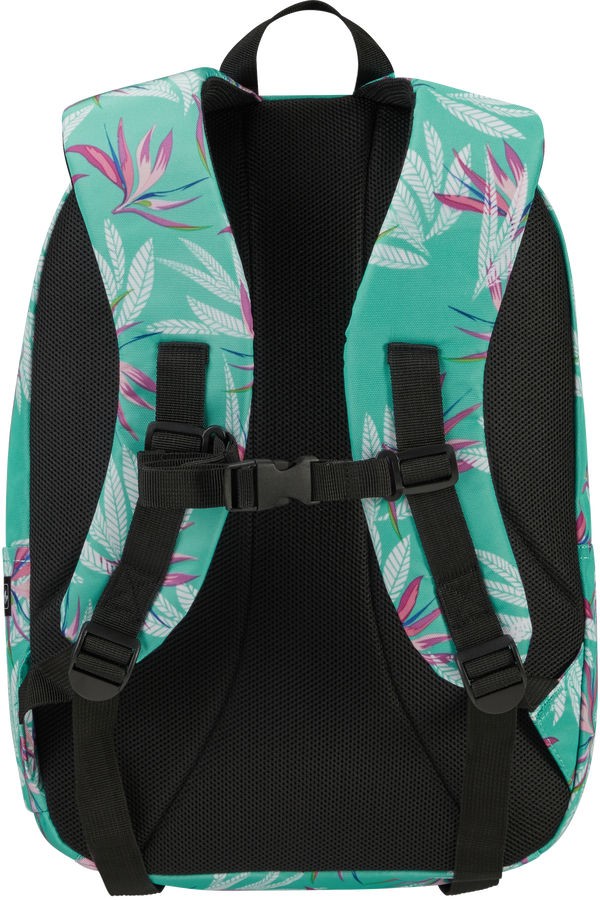 American Tourister Urban Groove Lifestyle Backpack  Bloom