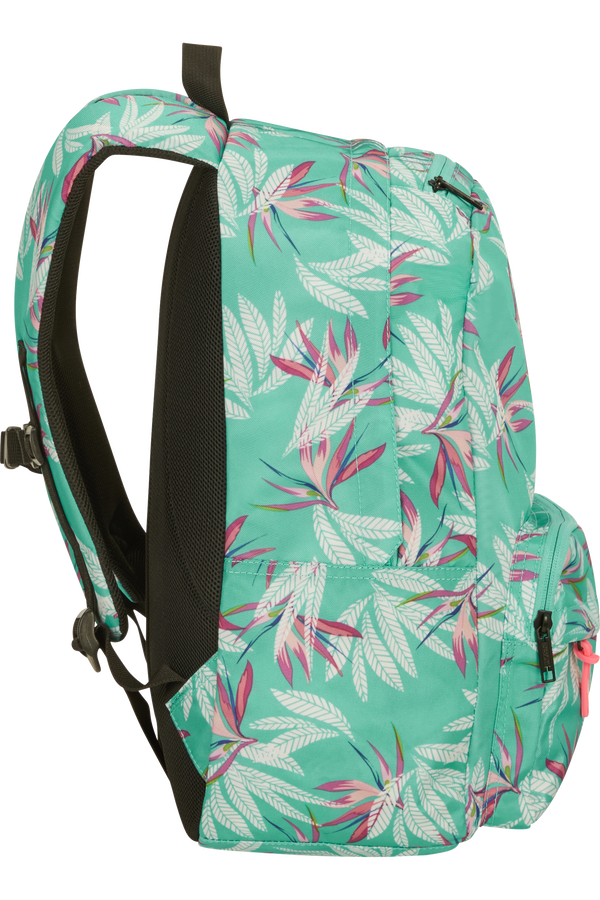 American Tourister Urban Groove Lifestyle Backpack  Bloom